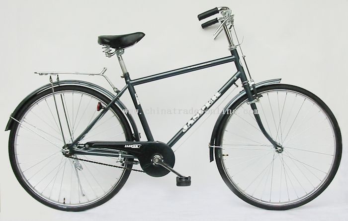 Easy and convenient bike of male hand